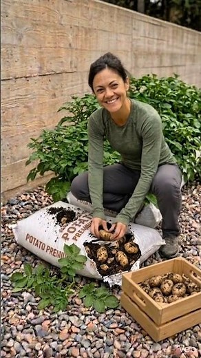 The Potato Bag Trick That Triples Your Harvest 🥔 High-Yield Garden Trick🔥