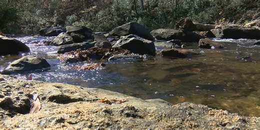 Tuscaloosa, Black Warrior Riverkeeper reach settlement over chronic sewage spills