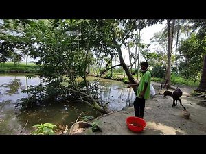 ASMR Fishing | Relaxing Fish Catching by River | No Talking, Just Nature