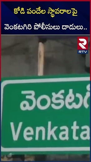 కోడి పందేల స్థావరాలపై వెంకటగిరి పోలీసులు దా*డులు.. | Venkatagiri police raid on Kodi Pandem | RTV
