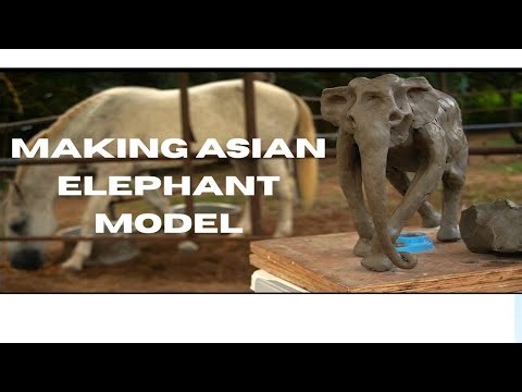 MAKING AN ELEPHANT MODEL USING NON DRY CLAY