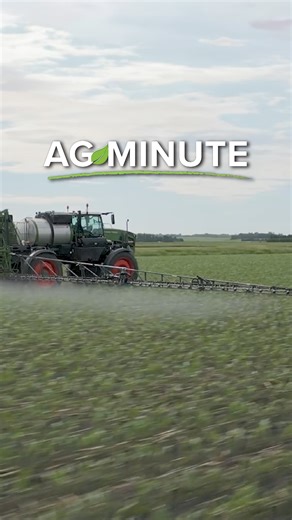 What time of day is best to spray? | Ag PhD