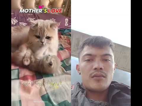 #REgIE tv# kawawa namn ni memeng 🥺💔 #subscribe #shortsvideo #sharevidoe