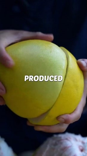 The pomelo spirit