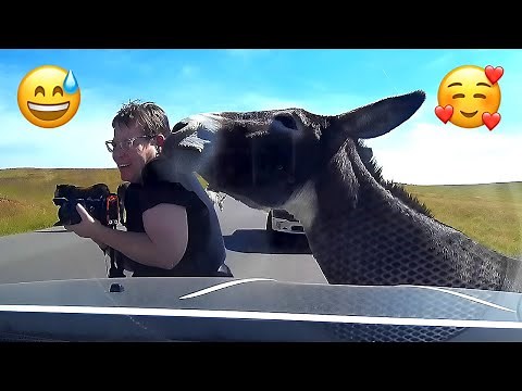 Hilarious Vacation Fails: I Need A Break From My Vacation