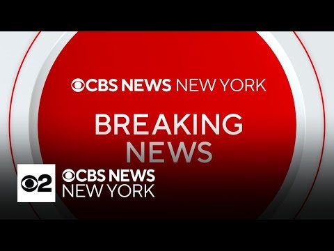 Boy plunges from fire escape in the Bronx, police sources say