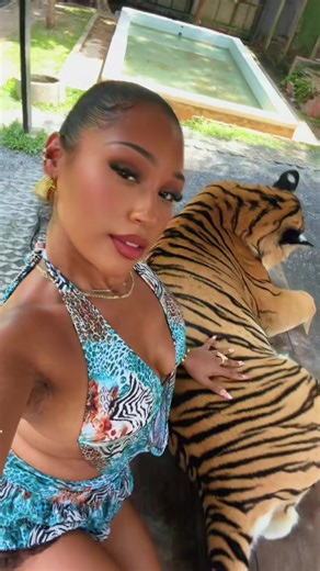 Jasmine and Rajah 🩵🐅 #fyp #tigerkingdomphuket #thailand #htx #malfuncktion