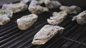 Pacific Oysters Shell On Grill Slow 库存影片视频（100% 免版税）1015779223 | Shutterstock