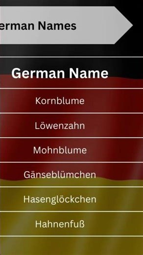 🌸 German Flower Vocabulary | Learn Beautiful Blumen Names 🌼