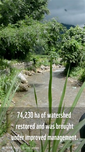 As 2025 comes to an end, we look back on a year of defining moments for Nepal’s conservation journey. Read all about it: https://www.wwfnepal.org/knowledge_hub_/publications2/?395195 Let’s walk into the new year with renewed dedication- together for people and the planet. Happy New Year 2026! | WWF Nepal