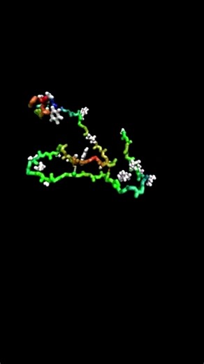 Stunning Protein Folding Simulation