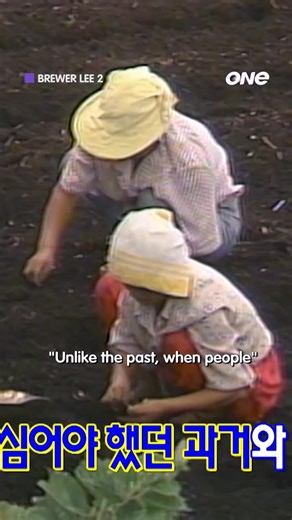 ONE TV Asia on Instagram: "From harvesting turnip seeds to climbing a slippery slope on all fours, today’s episode turns simple tasks into unforgettable experiences. 👏 ‘Brewer Lee 2’ 📺: Sat, 5.30PM (4.30PM JKT) #reels #reelsinstagram #BrewerLee2 #LeeJangWoo #이장우 #KVariety #ONETVAsia #ONEEA"