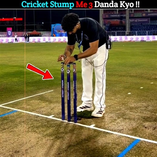 Cricket stump me 3 Danda kyo hota hai !!🤯