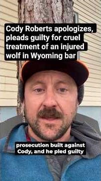 Cody Roberts apologizes, pleads guilty for cruel treatment of an injured wolf in Wyoming bar