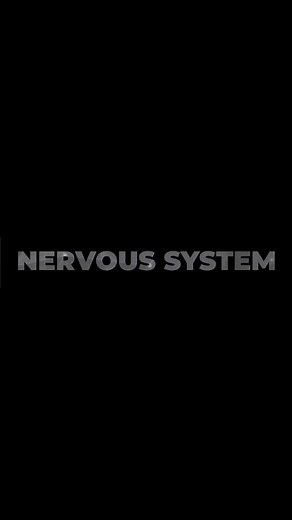 Slow Drills Reprogram Your Running Motor #running #training #technique