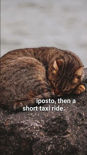 🌞 Looking for the best beaches near Catania, Sicily?