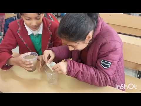 Cleaning water using Filter paper|| class 4 || Science activity