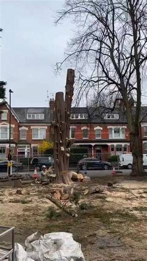 TIMBERR!!... 🪵 #trees #logs #treesurgeon #hedgetrimming #gardencare #gardentips #diygarden #homegarden #gardengoals #gardenmaintenance #ukgardens #britishgardens #gardenlifeuk | Gardner's Trees