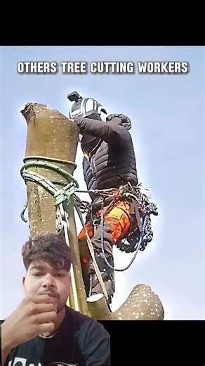 Wood Cutting Workers vs This Worker...