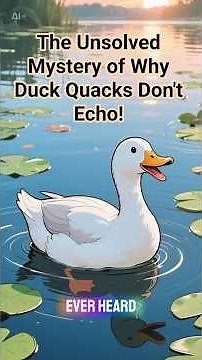 The Unsolved Mystery of Why Duck Quacks Don't Echo!