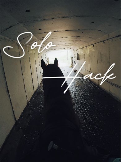 Adventures with Nemo #Equestrian #horseriding #hack #adventures