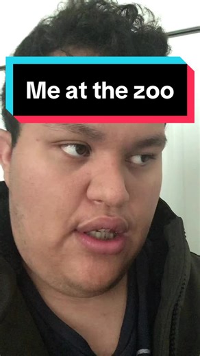 Celebrating 20 Years of 'Me at the Zoo' on YouTube