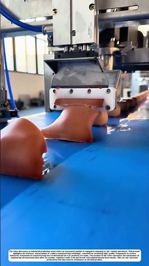 The Precision of Industrial Automation: Stamping and Die-Cutting Machines