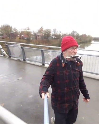 " De Lichtjes Van de Schelde "4Be #harmonica #walking #bridge #beernem #humor #funn #harmonicaplayer
