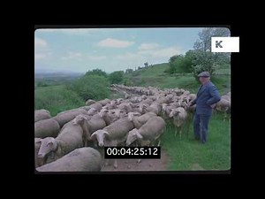 1970s Rural France, Farming in HD from 35mm | Kinolibrary