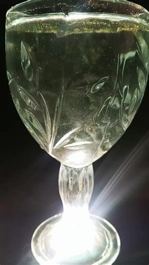 Adil Ahmed on TikTok