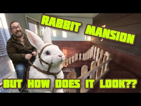 DIY Rabbit MANSION! Turning an old shed into a predator proof home - step by step!