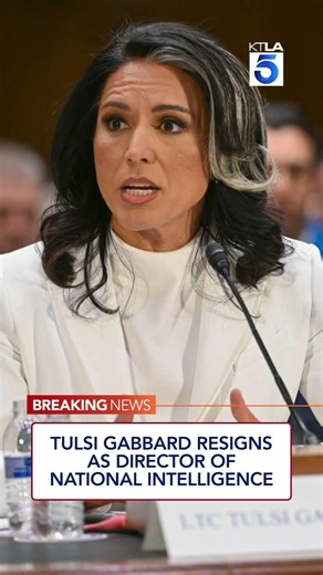 Tulsi Gabbard resigns as director of national intelligence