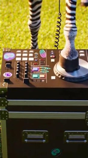 A Zebra Became a DJ… Then This Happened 🦓