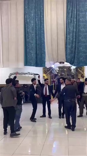 Exploring Hamabmw Cars: 520i and 525 Models