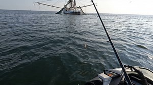 6.1M views · 30K reactions | THIS is What Happens When you Toss a LIVE BAIT Behind a Shrimp Boat!! | Southern Salt Fishing | Facebook