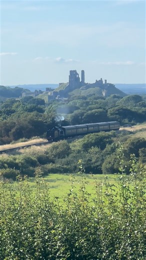 Can’t beat this view a steam train rolling past the ruins of Corfe Castle. Pure adventure vibes 🚂💨 #EnjoyTheJourney #steamtrain #corfecastle #purbeck #dorset #Railway #railwayphotography #railways_of_our_world #swanagee | The Placei'vebeen