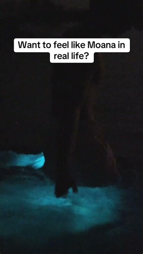 Experience the magic of bioluminescence just like they do in the movies :) Our summer bio is at its