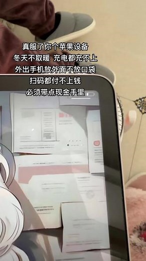 关于苹果设备冬天充不上电还掉电这回事#ipad不暖就充不进去电 #iphone充电 #手机充电 #苹果手机充不进去电怎么回事
