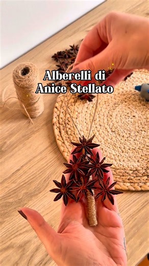 2.3K views · 27K reactions | Alberelli di anice stellato diy✨ Se anche tu ami l’anice stellato e quel suo profumo così caratteristico che fa subito Natale, allora quest’anno devi proprio realizzare questi alberelli di anice stellato da appendere sia sull’albero che per decorare casa!殺 Se l’idea ti è piaciuta salva questo reel e seguimi per nuove idee!﫶✨ #faidatenatale #anicestellato #decorazioninatalizie #decorazioninataliziefaidate | DORA Plant Coach | Facebook