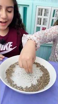 Wash Your Hands Magic Pepper and Soap Experiment For Kids