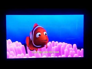 Finding Nemo Coral Death