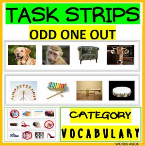 Task Cards Vocabulary Categories Language Reasoning Odd One Out