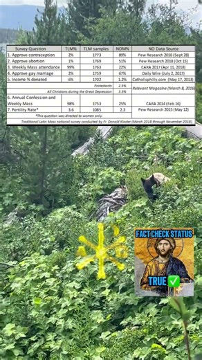 Traditional Latin Mass vs Novus Ordo