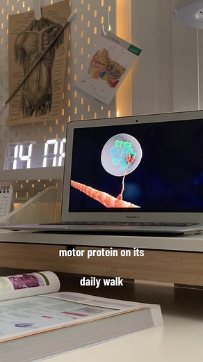 Hilarious Biology Jokes Compilation | Change My Mind Pt.4