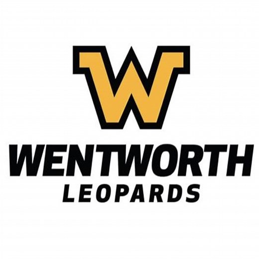 Wentworth Institute of Technology Womens Lacrosse • Home