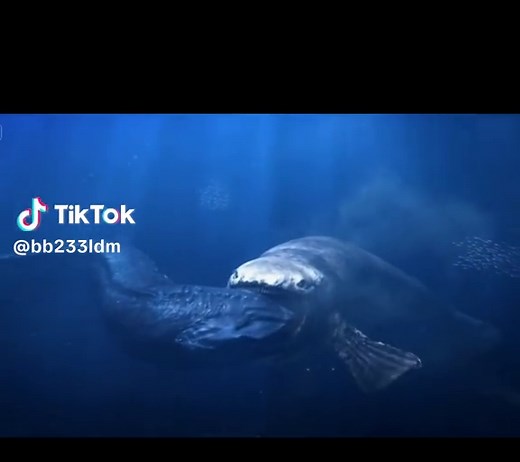 Godzilla vs. Bloop: Epic Encounter