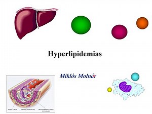 Pathophysiology of Hyperlipidemia