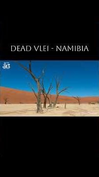 The 900-Year-Old Ghost Trees of Deadvlei, Namibia 🇳🇦