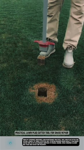 Practical Lawn Plug Cutter tool for grass repair #tools