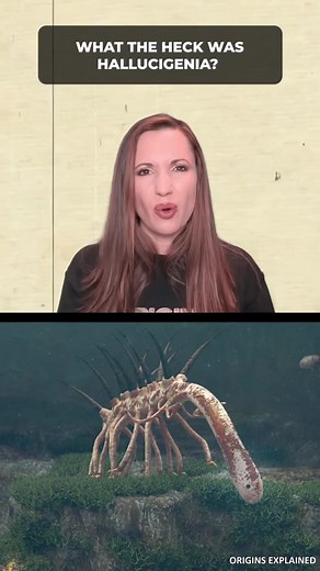 What the heck was Hallucigenia? | Origins Explained